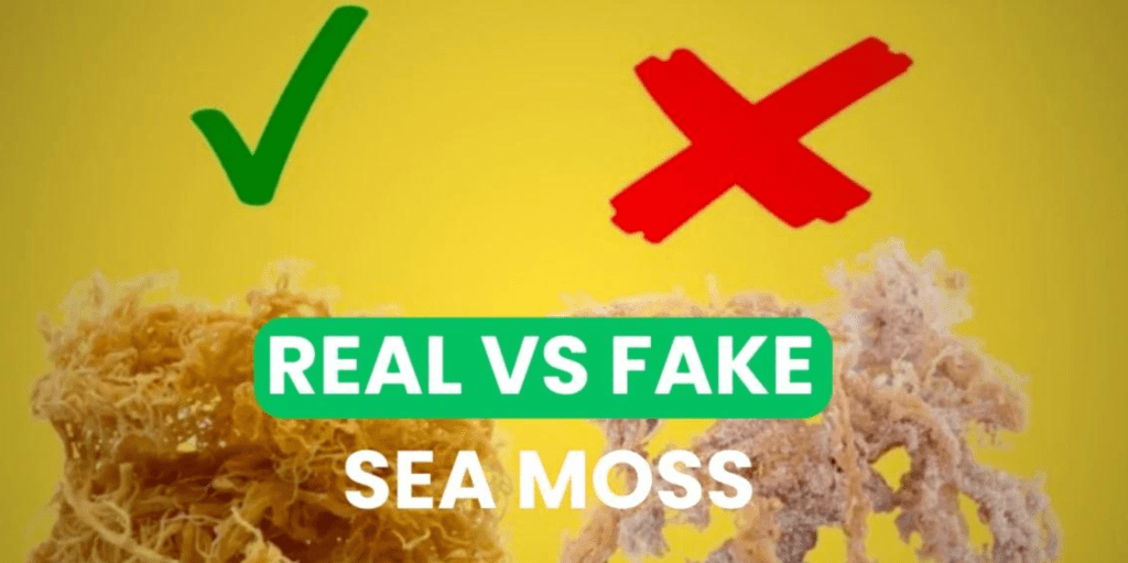 ABOUT FAKE SEA MOSS- why is See Moss expensive